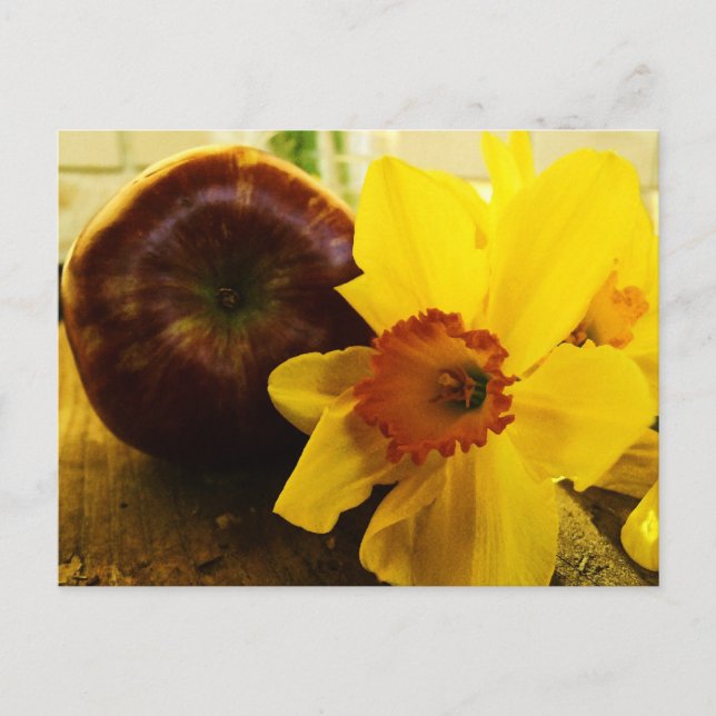 Cartão Postal Cartão-postal Daffodil & Apple (Frente)