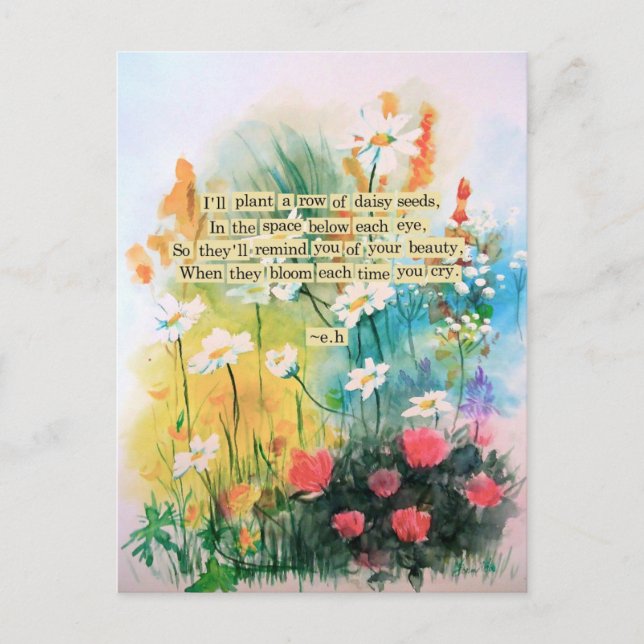 Cartão Postal Cartão-postal Daisies (Frente)