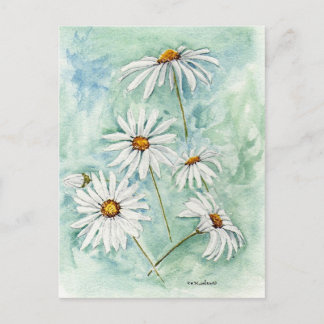 Cartão Postal Cartão-postal 'Daisies'