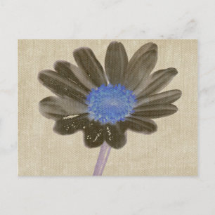 Cartão Postal Cartão-postal Daisy Digital Art