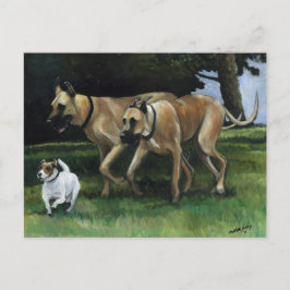 Cartão Postal Cartão-postal Dane Dog