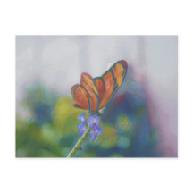 Cartão-postal das Asas Butterfly