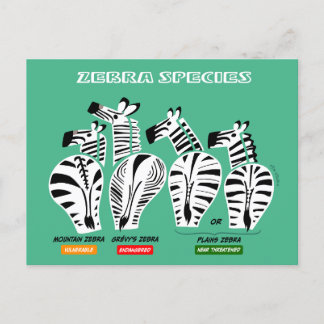 Cartão Postal Cartão-postal das Espécies Zebra
