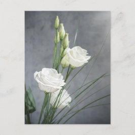 Cartão Postal Cartão-postal das flores brancas de Lisianthus