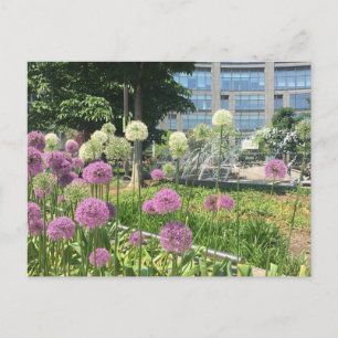Cartão Postal Cartão-postal das flores NYC Columbus Circle