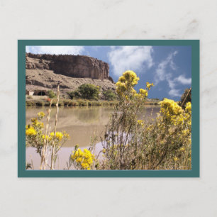 Cartão Postal Cartão-postal das flores silvestres do Colorado