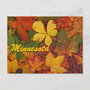 Cartão Postal Cartão-postal das Folhas do outono de Minnesota