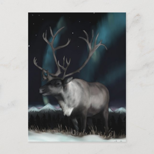 Cartão Postal Cartão-postal das luzes do Norte (Frente)