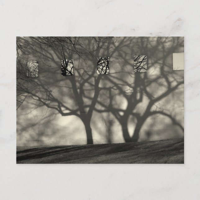 Cartão Postal Cartão-postal das Sombras Metropolitanas (Frente)