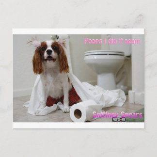 Cartão Postal Cartão-postal das Spears Snifney