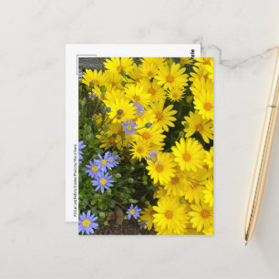 Cartão Postal Cartão-postal das Visitas Amarelo e Roxo