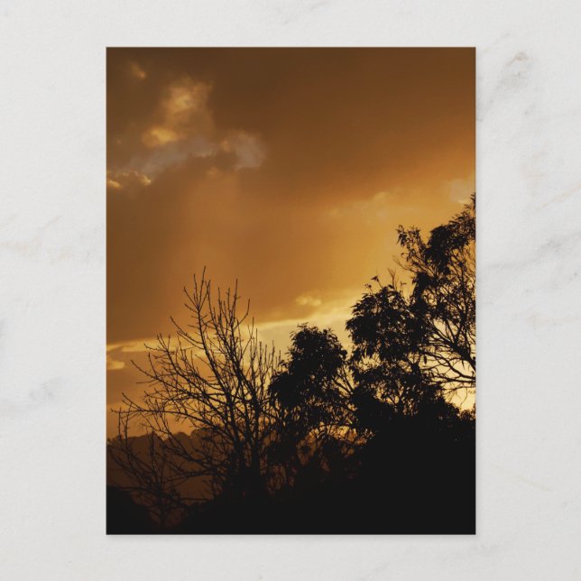 Cartão Postal Cartão-postal das Vistas de Arte Vidas (Frente)