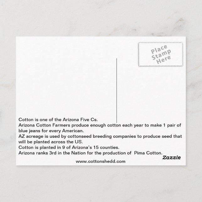 Cartão Postal Cartão-postal de 1912 com Arizona de algodão (Verso)