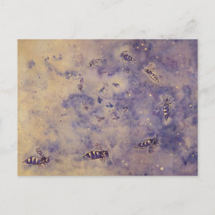 Cartão Postal Cartão-postal de Abelhas de Espaço