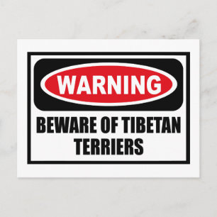 Cartão Postal Cartão-postal de alerta de TERRIERS TIBETANOS