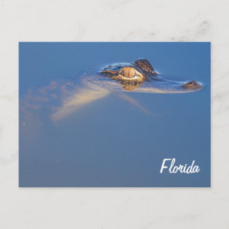 Cartão Postal Cartão-postal de alinhamento de bebê