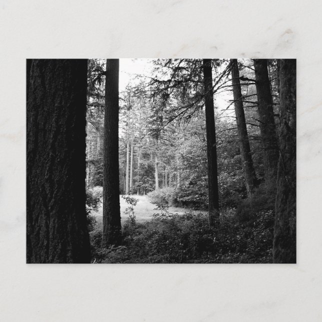 Cartão Postal Cartão-postal de Alivio monocromático de Escuridão (Frente)