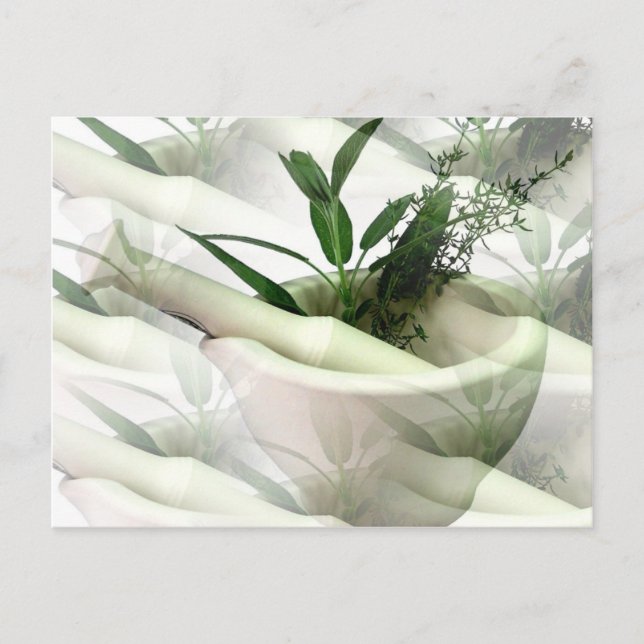 Cartão Postal Cartão-postal de alternativo (Frente)