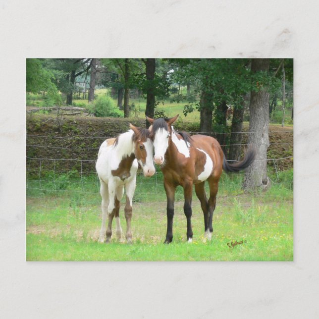 Cartão Postal Cartão-postal de amigos (Frente)