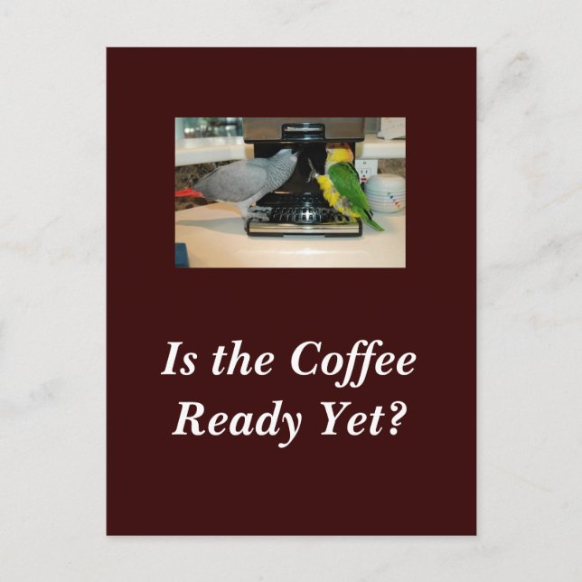 Cartão Postal Cartão-postal de Amigos do Café e Cinzas Africanas (Frente)