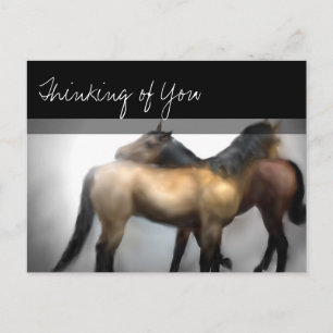 Cartão Postal Cartão-postal de Amizade Cavalos com Amor - Pensan