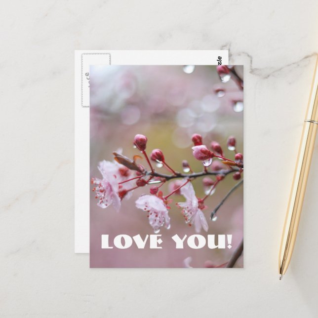 Cartão Postal Cartão-postal de amor (Frente/Verso In Situ)