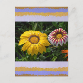 Cartão Postal Cartão-postal de amor