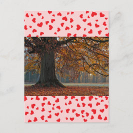 Cartão Postal Cartão-postal de amor