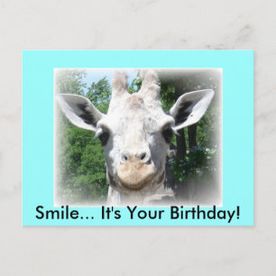 Cartão Postal Cartão-postal de aniversário da Giraffe