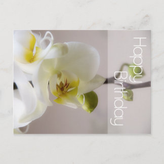 Cartão Postal Cartão-postal de aniversário da Orquídea Branca