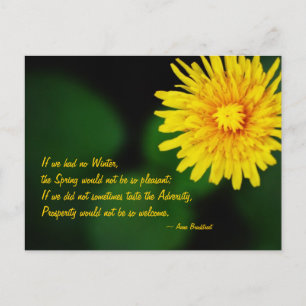 Cartão Postal Cartão-postal de Anne Bradstreet, Flor e Dandelion