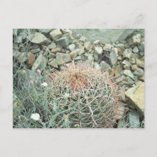 Cartão Postal Cartão-postal de Arizona de Poesia do Deserto Cac