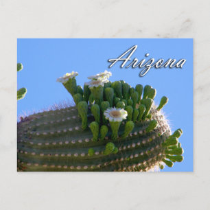 Cartão Postal Cartão-postal de arizona, Saguaro Cactus