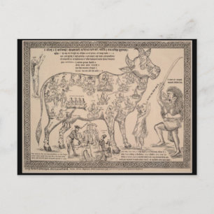 Cartão Postal Cartão-postal de arte antigo, gráfico de vacas d