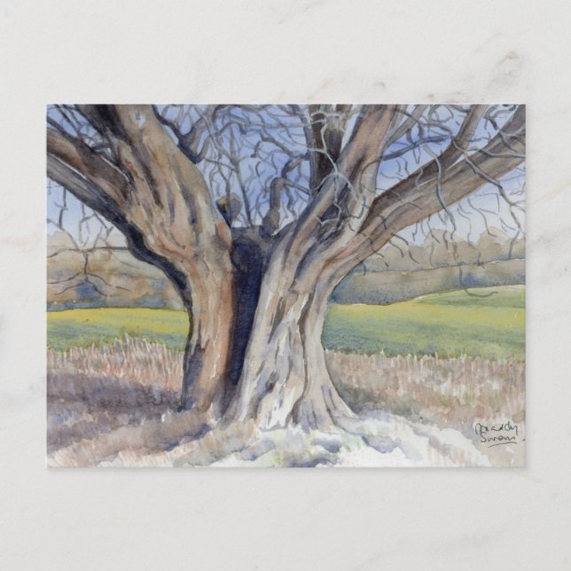 Cartão Postal Cartão-postal de arte - Árvore antiga em inglês (Frente)