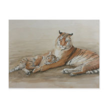 Cartão-postal de arte para gatos de Tigre e Cub