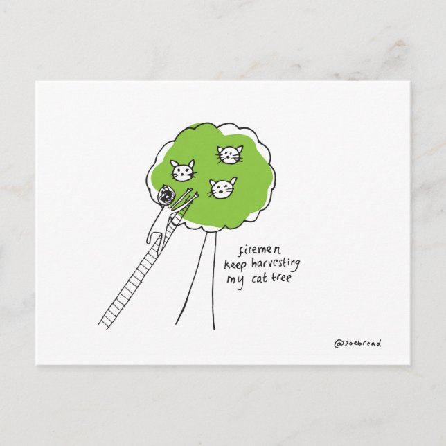 Cartão Postal cartão-postal de árvore de gato (Frente)