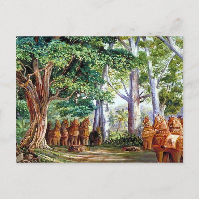 Cartão Postal Cartão-postal de árvore grande Tamarind (Frente)