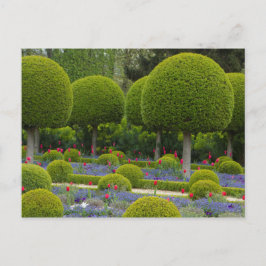 Cartão Postal Cartão-postal de Árvores Redondas