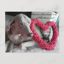 Cartão Postal Cartão-postal de Atos Aleatórios de Bondade - Chuv