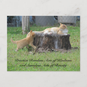 Cartão Postal Cartão-postal de Atos Aleatórios de Bondade - Gati