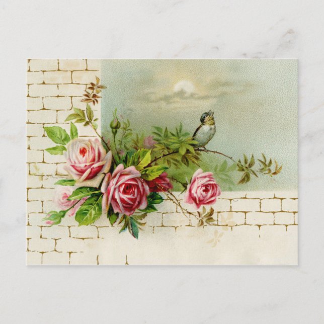 Cartão Postal Cartão-postal de aves canoras e Rosas (Frente)