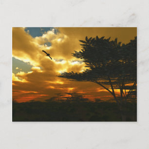 Cartão Postal Cartão-postal de aviões africanos