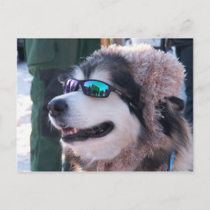 Cartão Postal Cartão-postal de Banshee