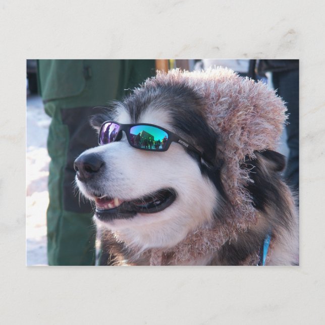 Cartão Postal Cartão-postal de Banshee (Frente)