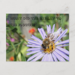 Cartão Postal Cartão-postal de Bee Engraçado