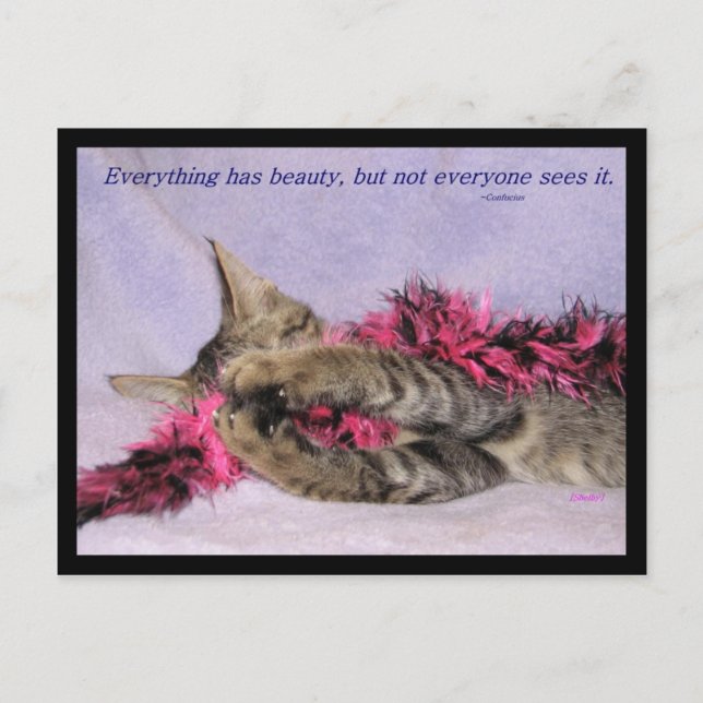 Cartão Postal Cartão-postal de beleza (Frente)