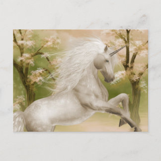 Cartão Postal Cartão-postal de beleza mágica Unicórn