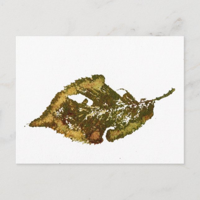 Cartão Postal Cartão-postal de "Birch #2" (Frente)