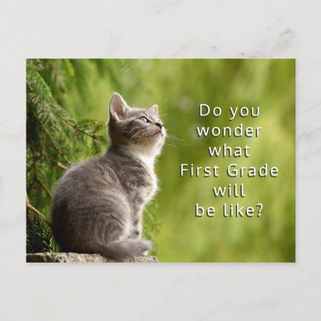 Cartão Postal Cartão-postal de boas-vindas aos estudantes elemen (Frente)